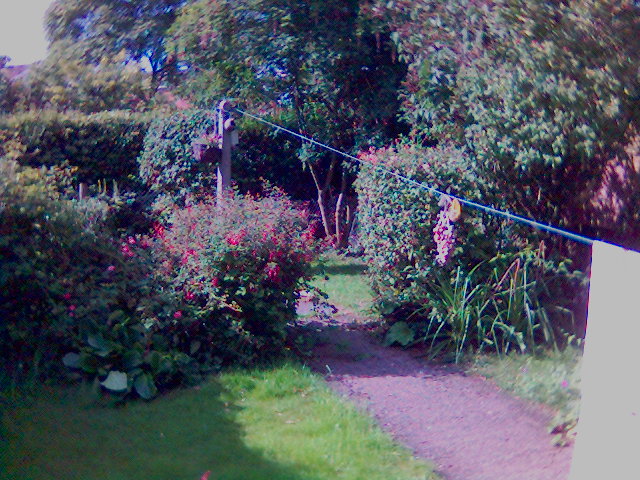 Photo angle of Grans garden